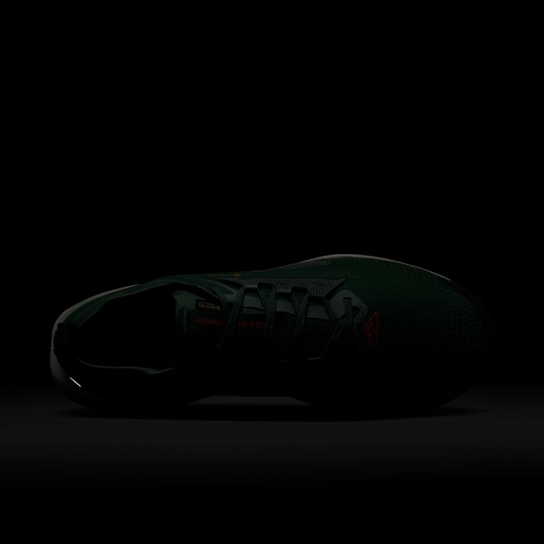 Nike Pegasus Trail 5 GORE-TEX Nike Pegasus Trail 5 GORE-TEX