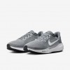Nike Pegasus 41