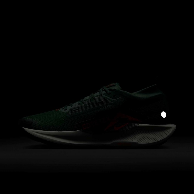 Nike Pegasus Trail 5 GORE-TEX Nike Pegasus Trail 5 GORE-TEX