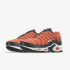 Nike Air Max Plus By