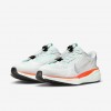 Nike Pegasus EasyOn
