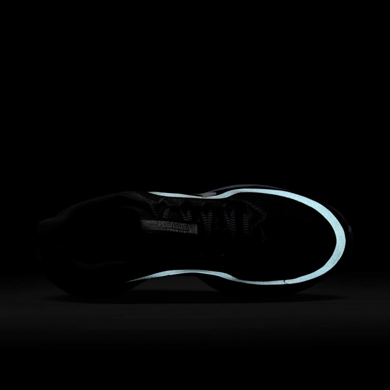 Nike Pegasus Premium Nike Pegasus Premium