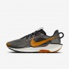 Nike Pegasus Trail 5