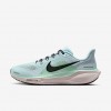 Nike Pegasus 41