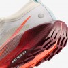 Nike Pegasus Trail 5 GORE-TEX