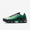 Nike Air Max Plus