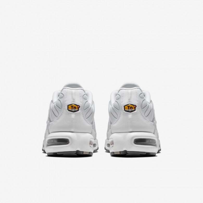 Nike Air Max Plus Nike Air Max Plus