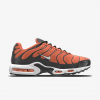 Nike Air Max Plus By