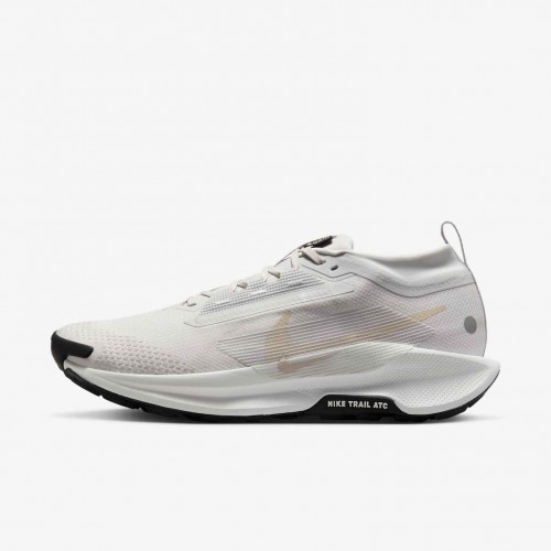 Nike Pegasus Trail 5 GORE-TEX