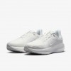 Nike Winflo 11 GORE-TEX