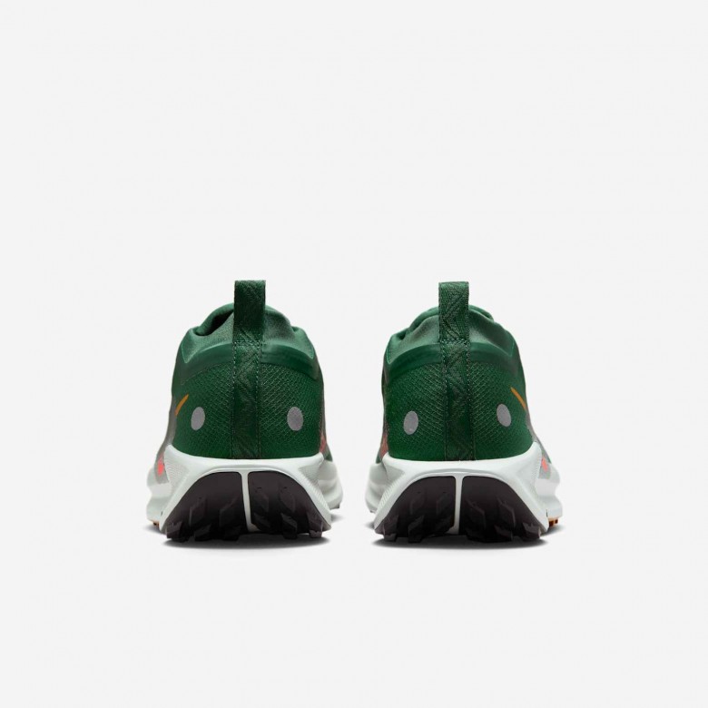 Nike Pegasus Trail 5 GORE-TEX Nike Pegasus Trail 5 GORE-TEX