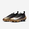 Nike Vapor Speed 3
