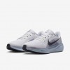 Nike Pegasus 41