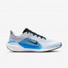 Nike Pegasus 41