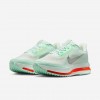 Nike Pegasus Premium