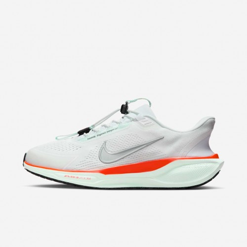 Nike Pegasus EasyOn