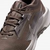 Nike Pegasus Trail 5 GORE-TEX