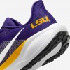 LSU Pegasus 41