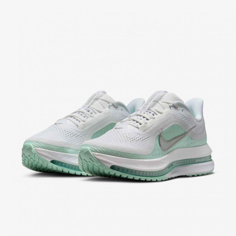 Nike Pegasus Premium Nike Pegasus Premium