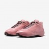 Air Jordan 40 &quot;Dusty Rose&quot;