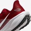 Arizona Cardinals Pegasus 41