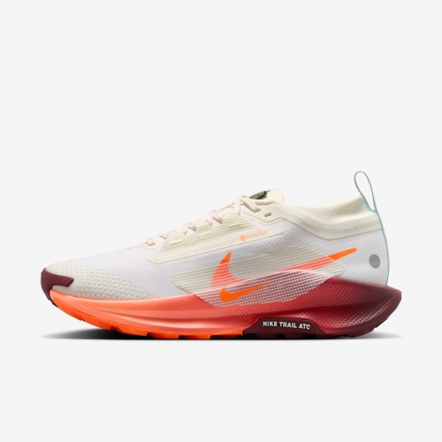 Nike Pegasus Trail 5 GORE-TEX