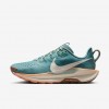 Nike Pegasus Trail 5