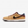Nike SB Dunk Low Pro
