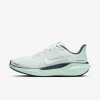 Nike Pegasus 41