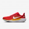 Kansas City Chiefs Pegasus 41