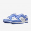 Nike Dunk Low Next Nature