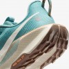 Nike Pegasus Trail 5
