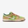 Nike SB Dunk Low Pro