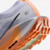 Nike Pegasus Trail 5 GORE-TEX