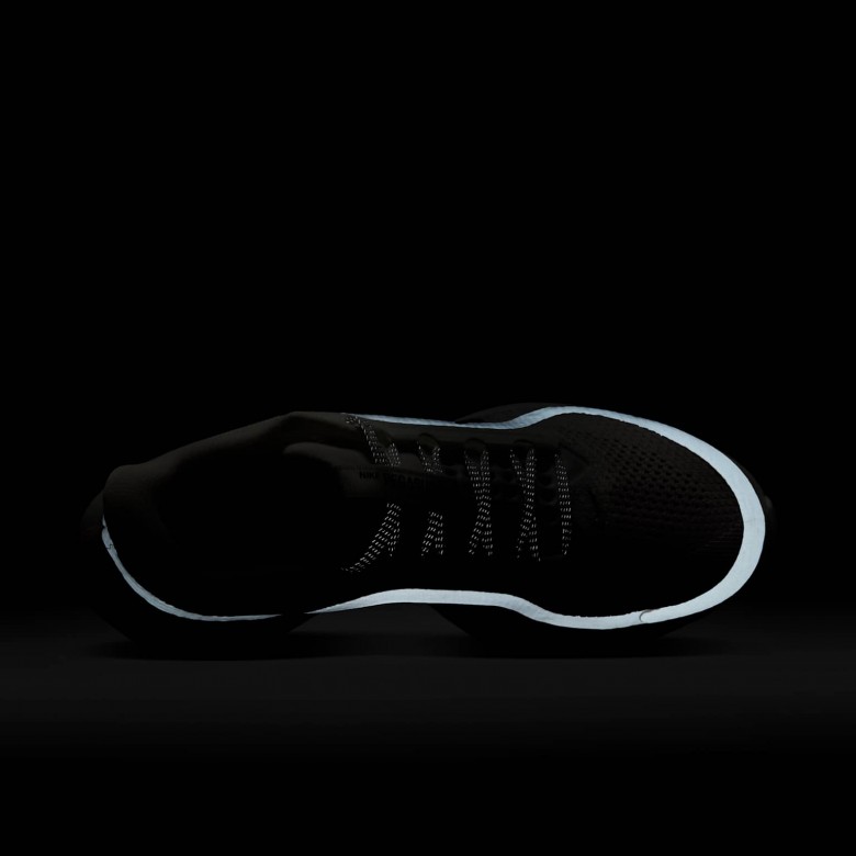 Nike Pegasus Premium Nike Pegasus Premium