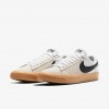 Nike SB Zoom Blazer Low Pro GT