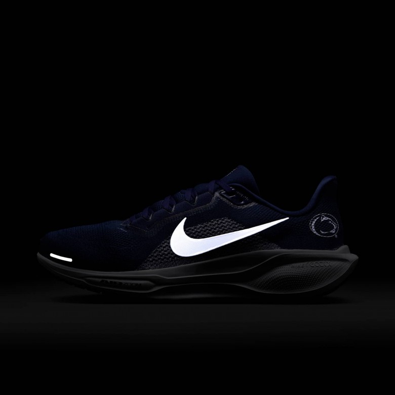 Penn State Pegasus 41 Penn State Pegasus 41