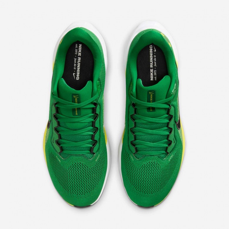 Oregon Pegasus 41 Oregon Pegasus 41