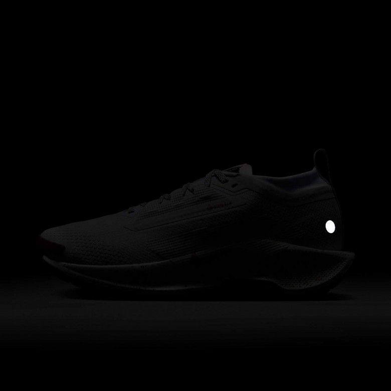 Nike Pegasus Trail 5 GORE-TEX Nike Pegasus Trail 5 GORE-TEX