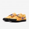 Nike Zoom Rival SD 2
