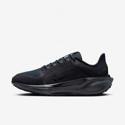 Nike Pegasus 41 GORE-TEX
