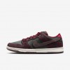 Nike SB Dunk Low Pro