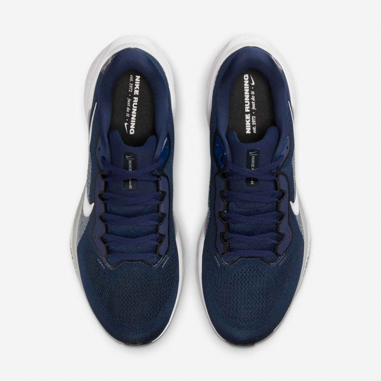 Dallas Cowboys Pegasus 41 Dallas Cowboys Pegasus 41