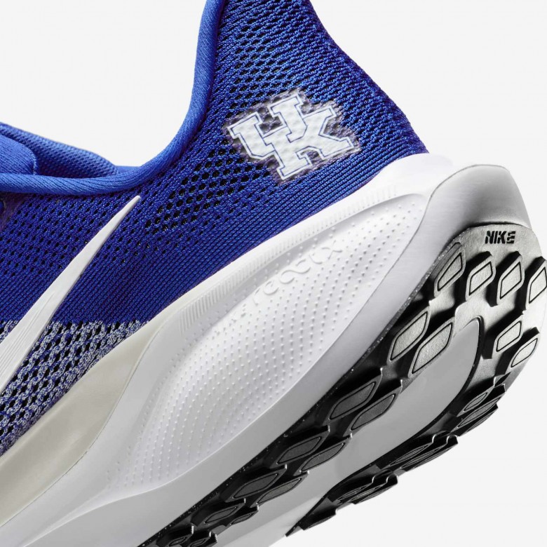 Kentucky Pegasus 41 Kentucky Pegasus 41