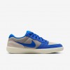 Nike SB Force 58