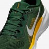 Green Bay Packers Pegasus 41