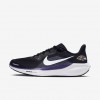 Baltimore Ravens Pegasus 41