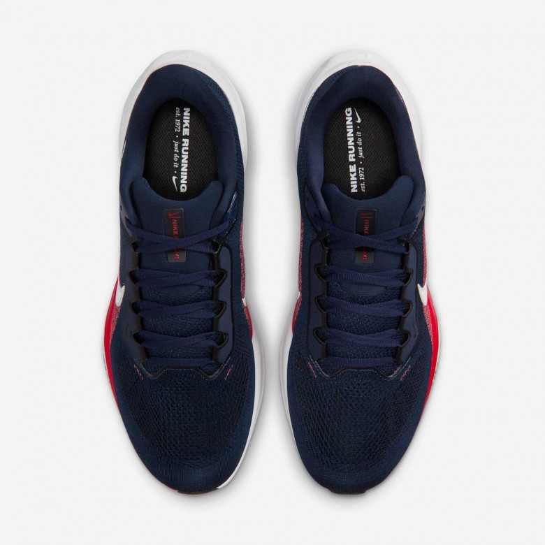 New England Patriots Pegasus 41 New England Patriots Pegasus 41