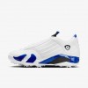 Air Jordan 14 G