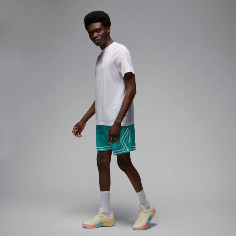 Zion 4 "Low Country" Zion 4 "Low Country"